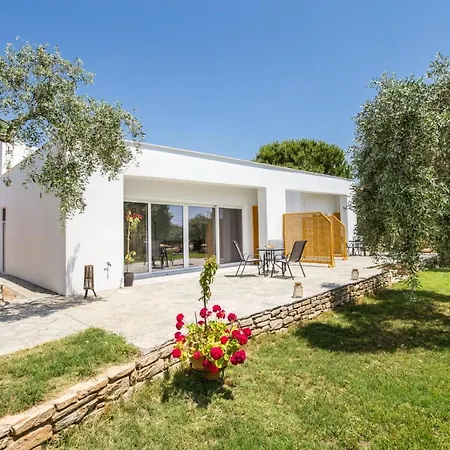 Apartment Avgoustidis